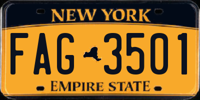 NY license plate FAG3501