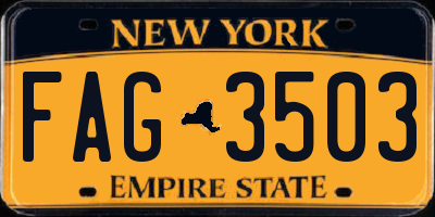 NY license plate FAG3503