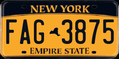 NY license plate FAG3875