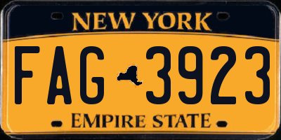 NY license plate FAG3923