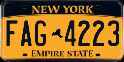 NY license plate FAG4223