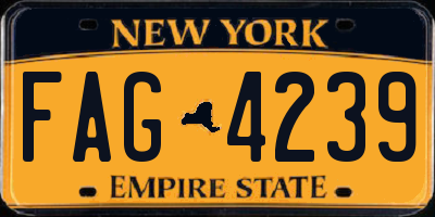 NY license plate FAG4239