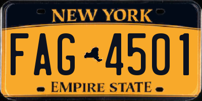 NY license plate FAG4501