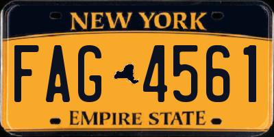 NY license plate FAG4561