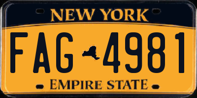 NY license plate FAG4981