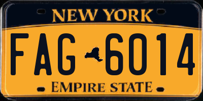 NY license plate FAG6014