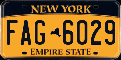 NY license plate FAG6029