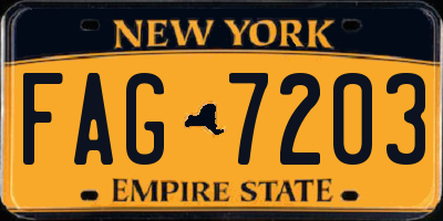 NY license plate FAG7203