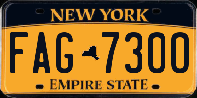 NY license plate FAG7300