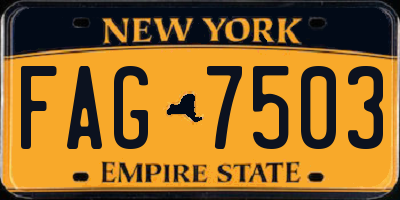 NY license plate FAG7503