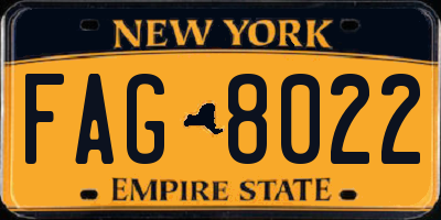 NY license plate FAG8022