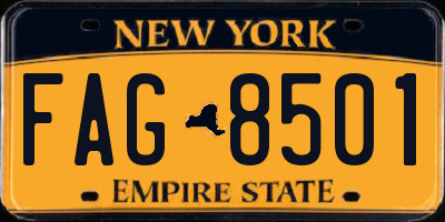 NY license plate FAG8501