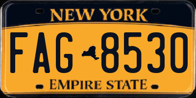 NY license plate FAG8530