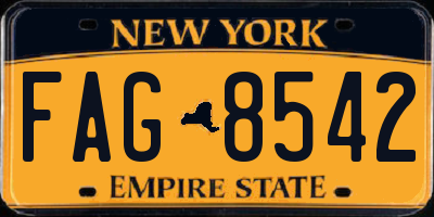 NY license plate FAG8542