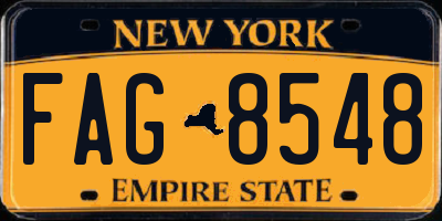 NY license plate FAG8548