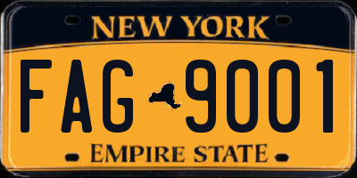 NY license plate FAG9001