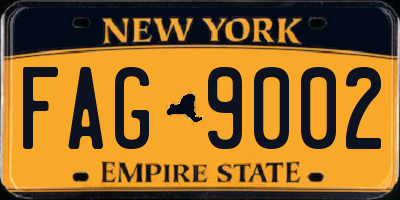 NY license plate FAG9002