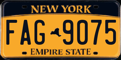 NY license plate FAG9075