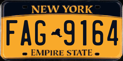 NY license plate FAG9164