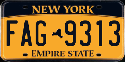 NY license plate FAG9313