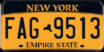 NY license plate FAG9513