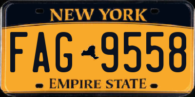 NY license plate FAG9558