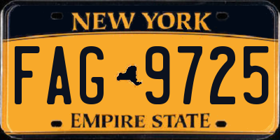 NY license plate FAG9725