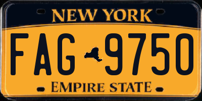 NY license plate FAG9750