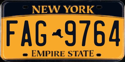 NY license plate FAG9764