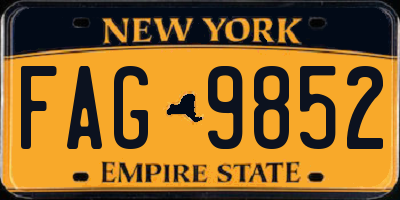 NY license plate FAG9852