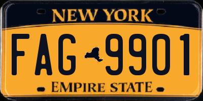 NY license plate FAG9901