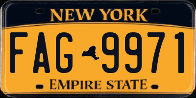 NY license plate FAG9971