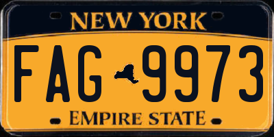 NY license plate FAG9973