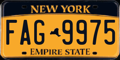 NY license plate FAG9975