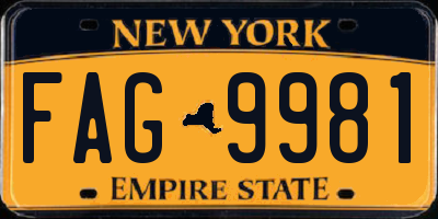 NY license plate FAG9981