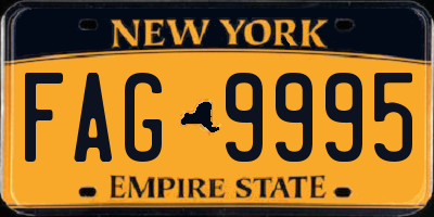 NY license plate FAG9995