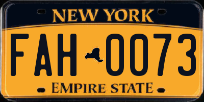 NY license plate FAH0073