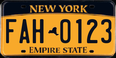 NY license plate FAH0123