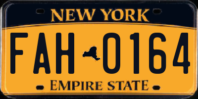 NY license plate FAH0164