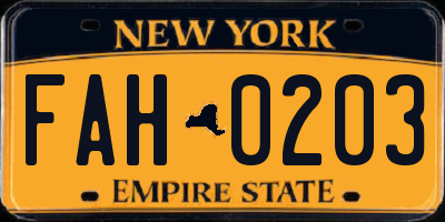 NY license plate FAH0203