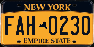 NY license plate FAH0230