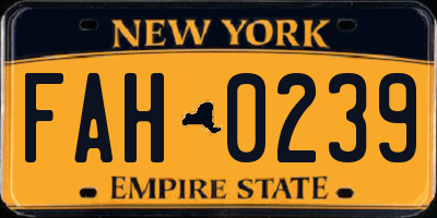 NY license plate FAH0239