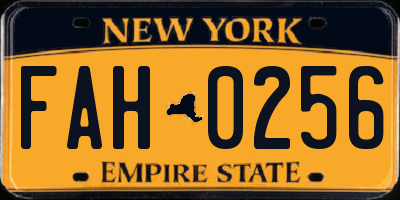 NY license plate FAH0256