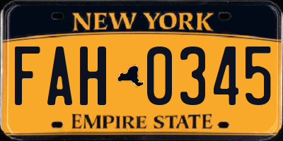 NY license plate FAH0345