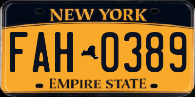 NY license plate FAH0389