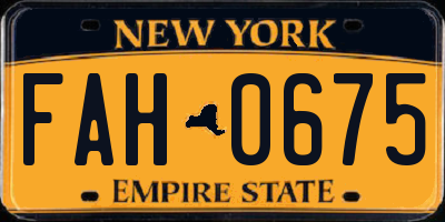 NY license plate FAH0675