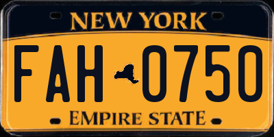 NY license plate FAH0750