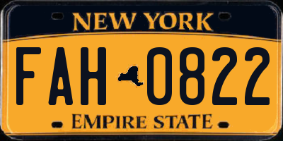 NY license plate FAH0822