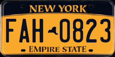 NY license plate FAH0823
