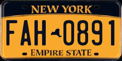 NY license plate FAH0891